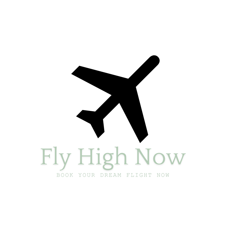 Fly High Now Logo